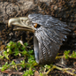 Sky Guardian Eagle Ring – 925 Sterling Silber mit Tigerauge-Edelstein, handgefertigter Schmuck im Adler-Design